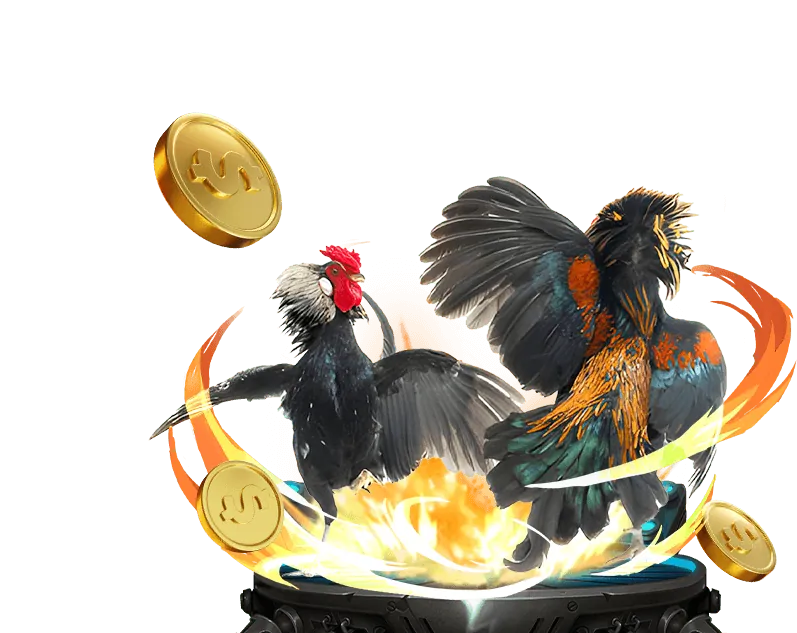 Phân tích chiến lược Xóc Đĩa Kubet